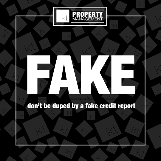 Fake Credit Reports
