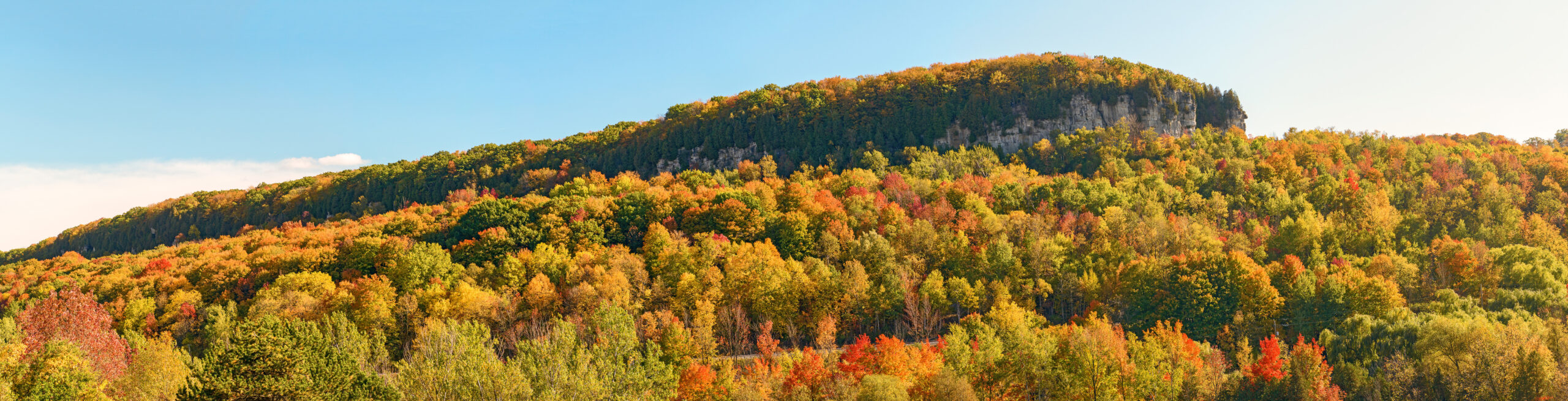 Fall in Glen Eden conservation area in Milton, Ontario MIlton Ontario Niagara Escarpment Image
